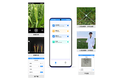 榆林市小麦亩穗数分析仪IN-XM02